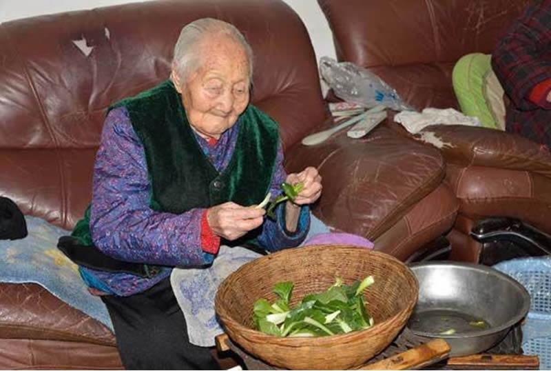 煎饼红嫂800