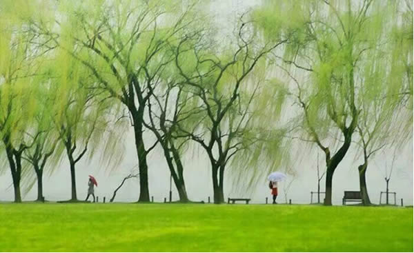 11孟骄骄