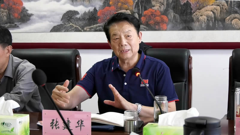张书记3